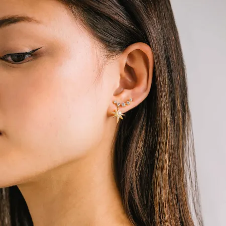 Alaia Climber Earrings in Gold