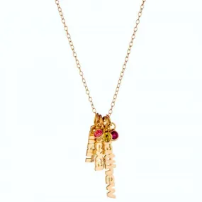 Gold Vertical Name Birthstone Necklace