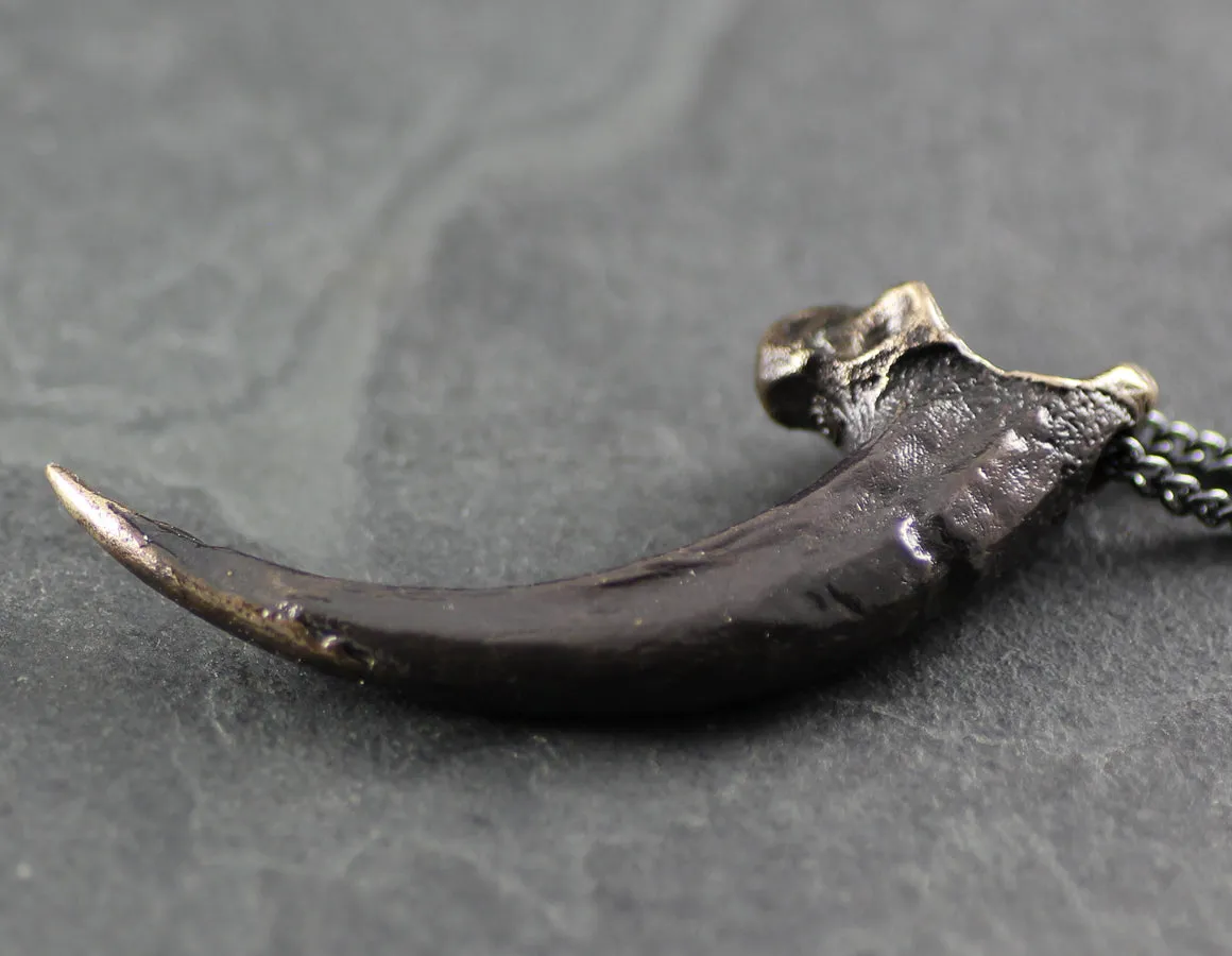 Harpy Eagle Talon Necklace - Bronze