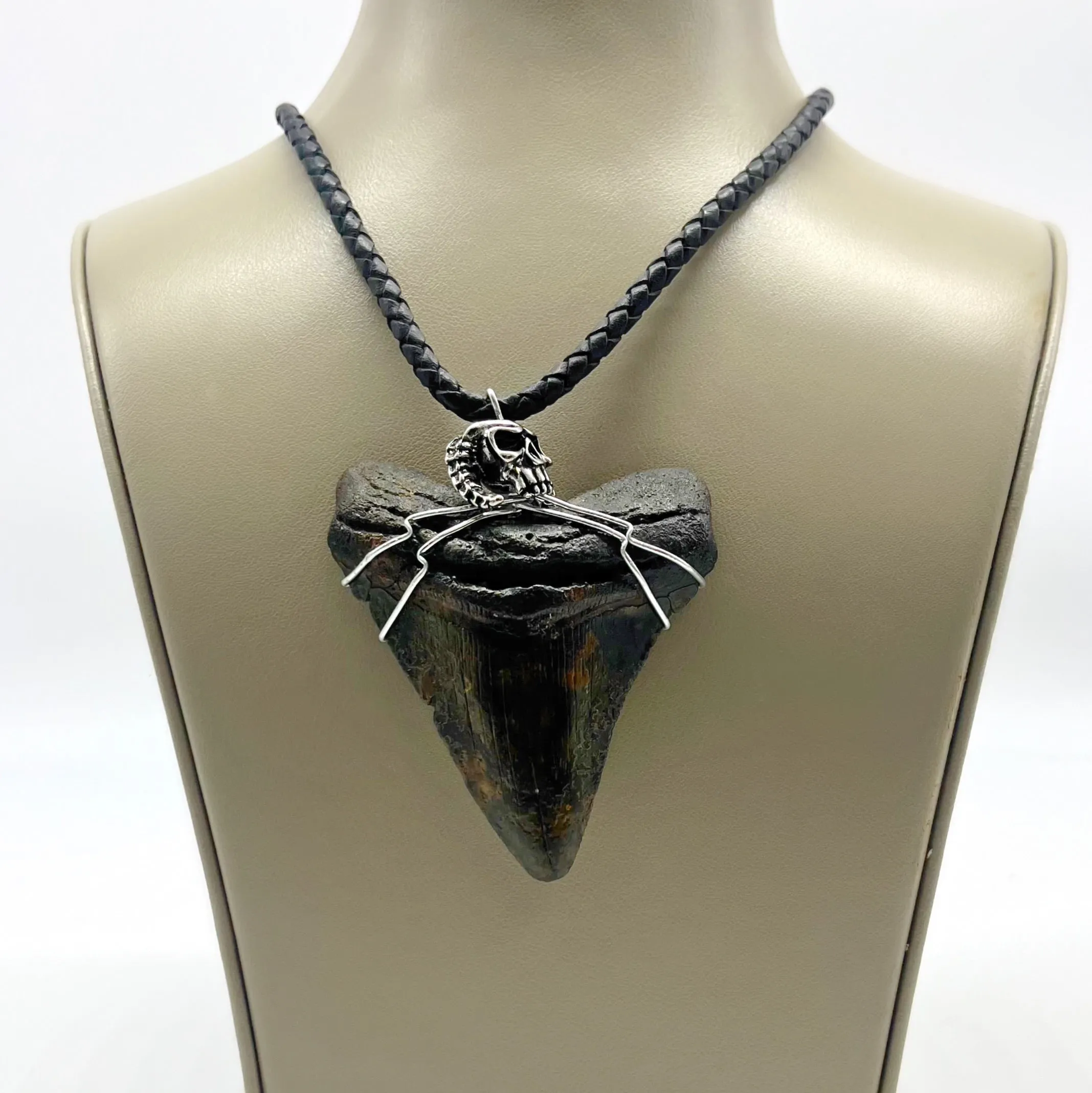 Megalodon Tooth Sterling Silver Wrapped Necklace (Authentic)